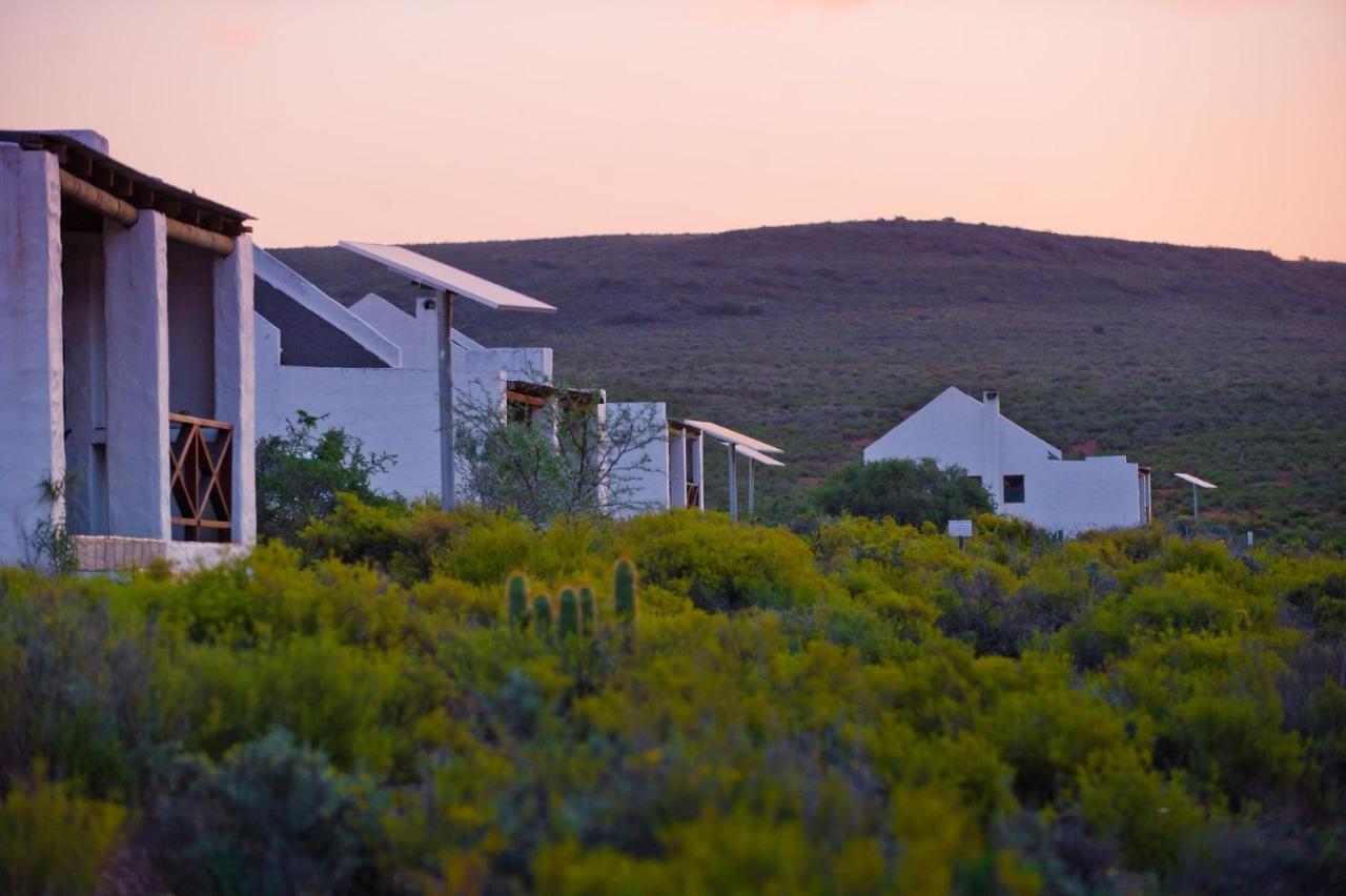 African Game Lodge Montagu Exteriör bild