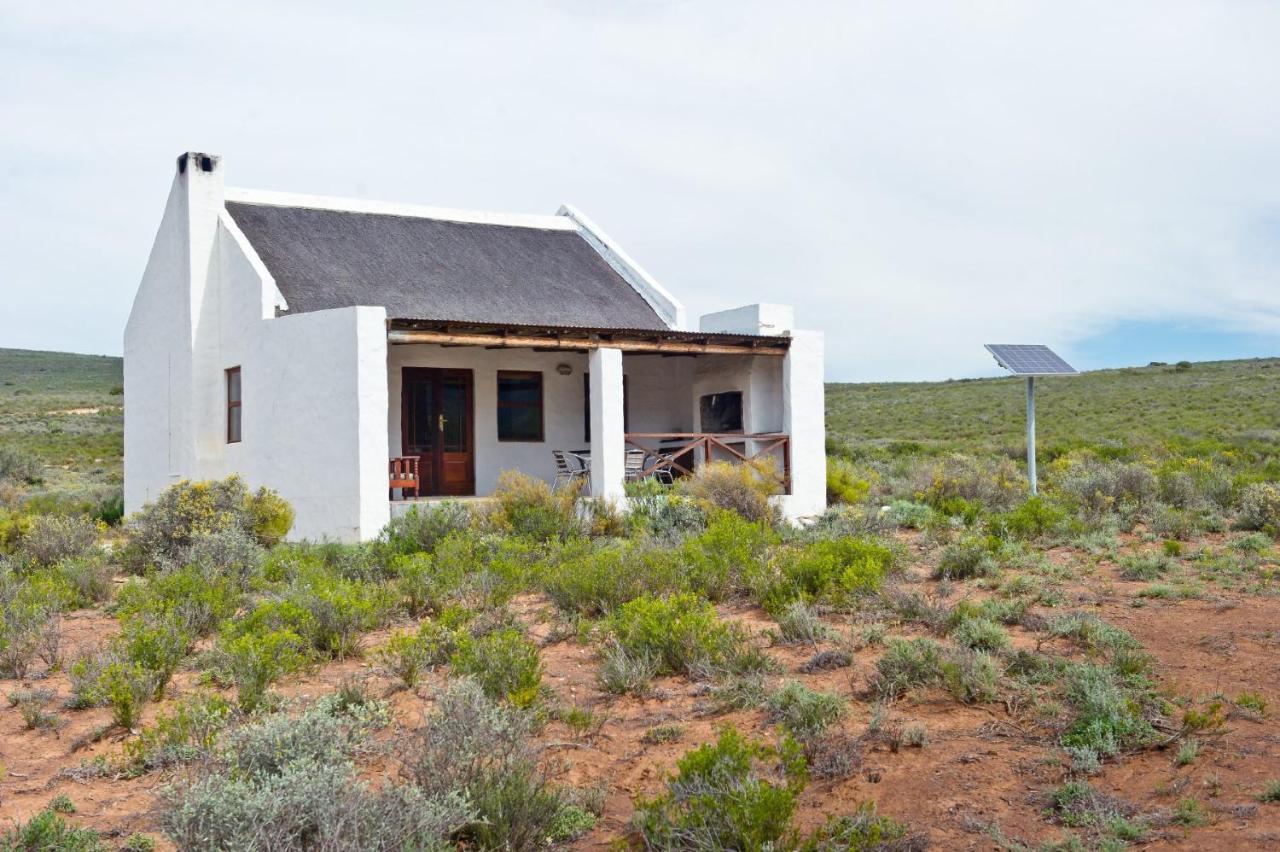 African Game Lodge Montagu Exteriör bild