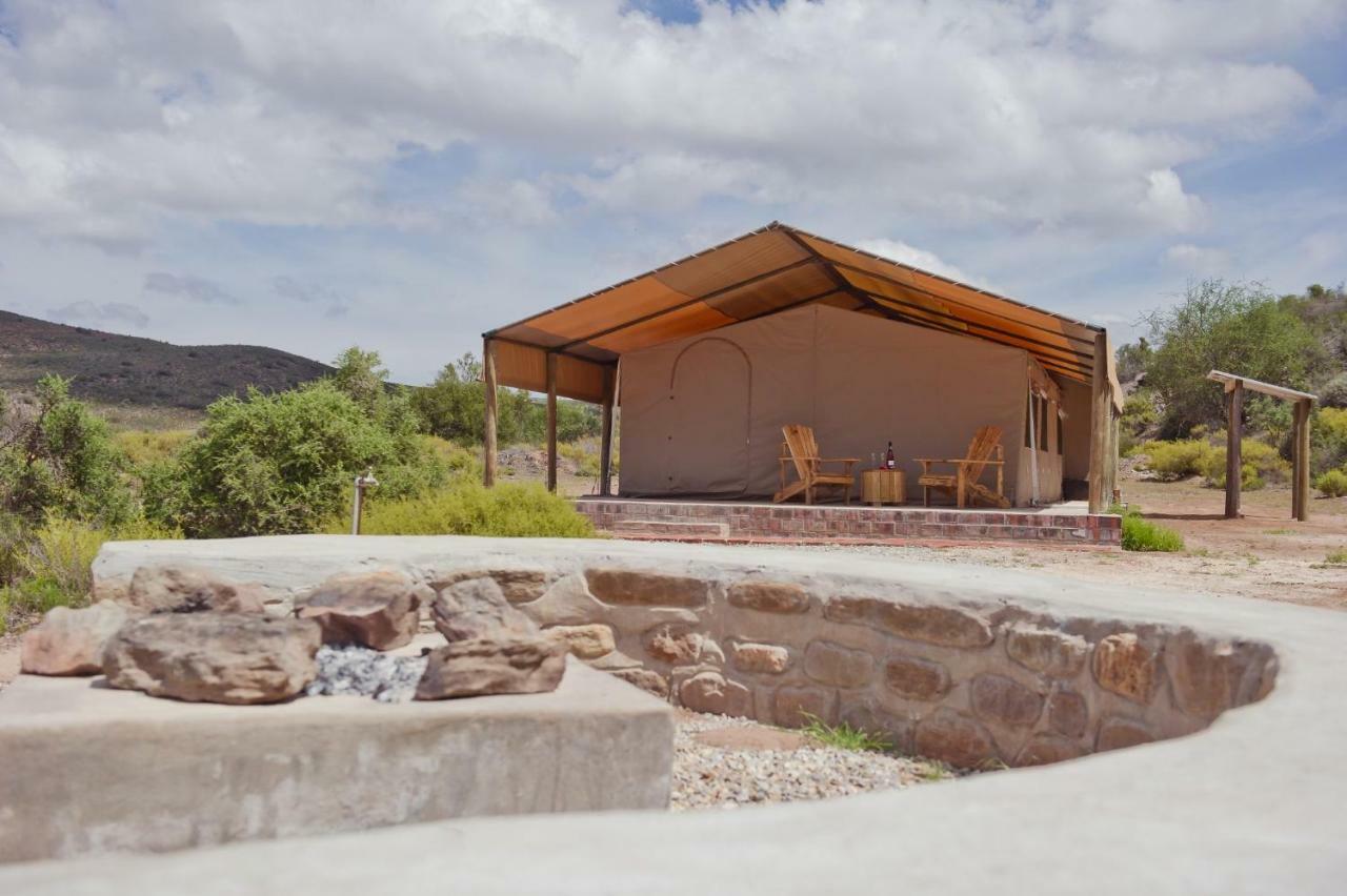African Game Lodge Montagu Exteriör bild